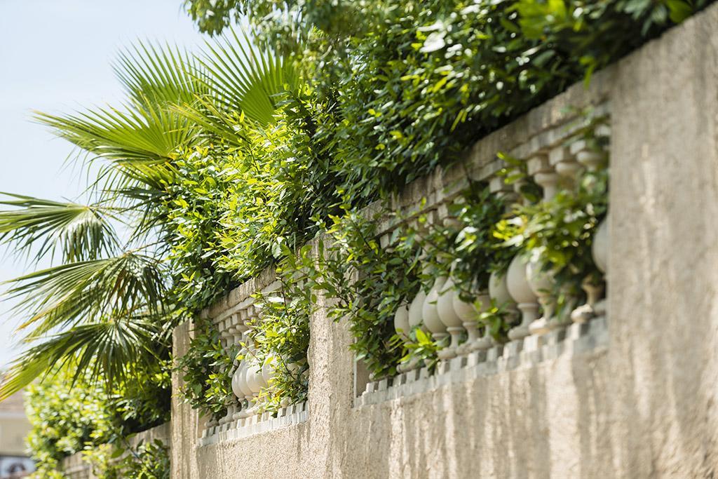 Les Jardins De La Mer Grimaud Eksteriør billede